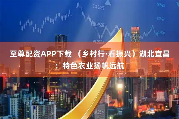 至尊配资APP下载 （乡村行·看振兴）湖北宜昌：特色农业扬帆远航