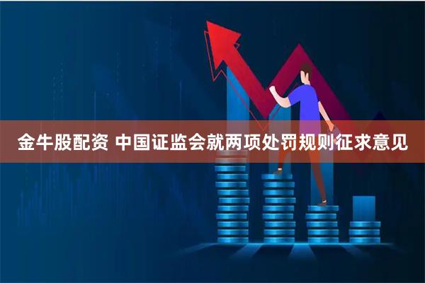 金牛股配资 中国证监会就两项处罚规则征求意见